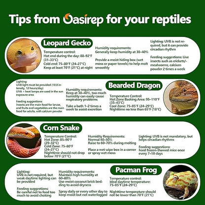 2-Pack Reptile Thermometer and Hygrometer – LCD Digital Temp & Humidity Monitor for Bearded Dragon, Gecko, Snake Tanks, Incubation Boxes, Indoor Pet Habitats