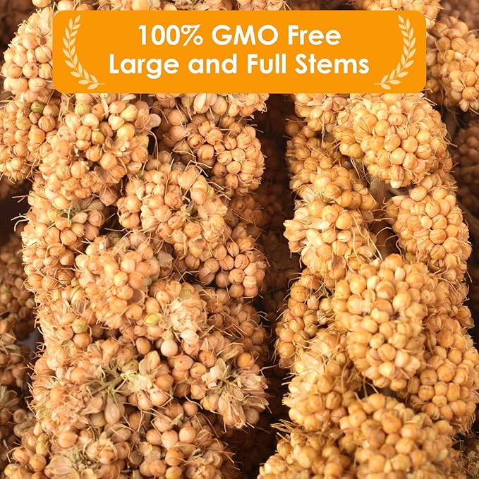 KATUMO Spray Millet for Birds, 2.0LB / 910g Natural Sun-Dried Millet Spray Bird Treats Parakeet Food for Cockatiels Conures Parrots Hamsters Finches