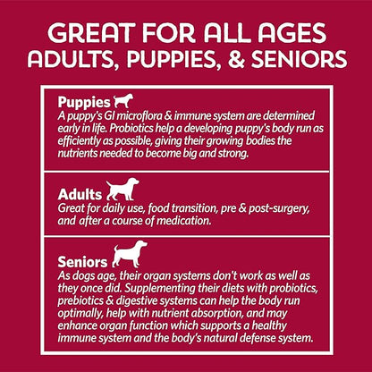 Fidobiotics Good Guts for Big Mutts Probiotic for Dogs, 12 Billion CFUs, 11 Strains, 5 Digestive Enzymes, 2 Prebiotics, Digestive Gut Health for Dogs, Adult & Puppy Probiotics Supplements (20 Days)