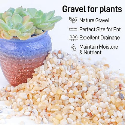 7lb Aquarium Gravel for Plants,1/5 Inch Natural Decorative River Rocks for Succulent and Cactus Landscaping, Natural Small Rocks for Fish Tanks, Vases & Terrariums
