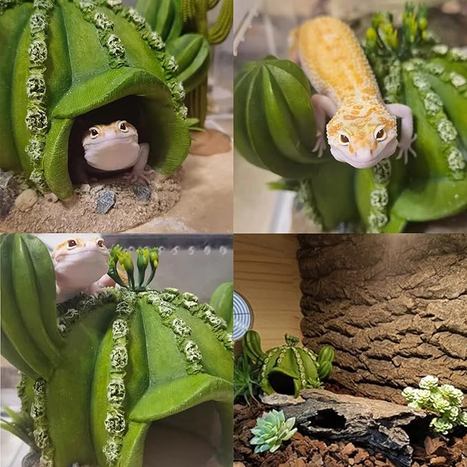 kathson Reptile Tank Decor Lizard Hide and Cave Plants Terrarium Decorations Resin Cactus Desert Aquarium Tank Habitat Accessories for Bearded Dragon Chameleon Leopard Gecko Snake Fish (Ball Cactus)