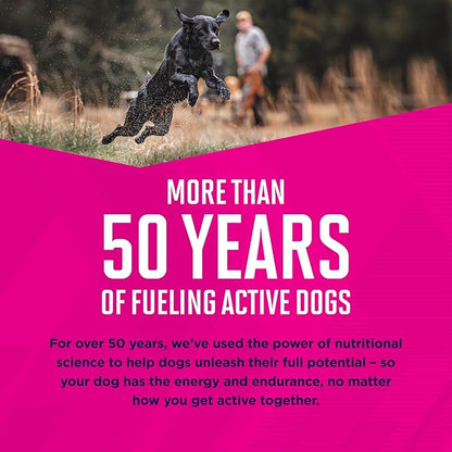 Eukanuba Adult Premium Performance 30/20 Sport Dry Dog Food, 14 lb Bag