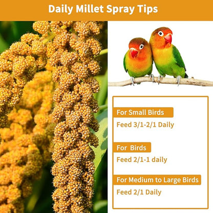 kathson Natural Sun-Dried Birds Millet Spray Millet Treat bird snacks for Parrots Cockatiels Lovebirds Painted Buntings and Finches Parakeets 1.1 LB