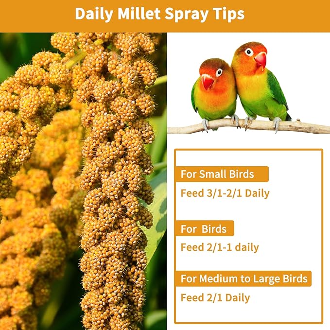 kathson Natural Sun-Dried Birds Millet Spray Millet Treat Bird Snacks for Parrots Cockatiels Lovebirds Painted Buntings and Finches Parakeets 2.2 LB