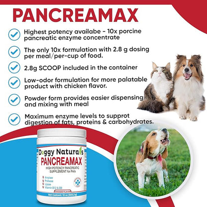 PancreaMax 10x Pancreatic Enzymes for Dogs and Cats (12 oz) Powder (Made in U.S.A). Pancreatin 10X for Dogs and Cats Contain Pancreatic Enzyme, High Strength, Low Odor.(10x Porcine Pancreatin)