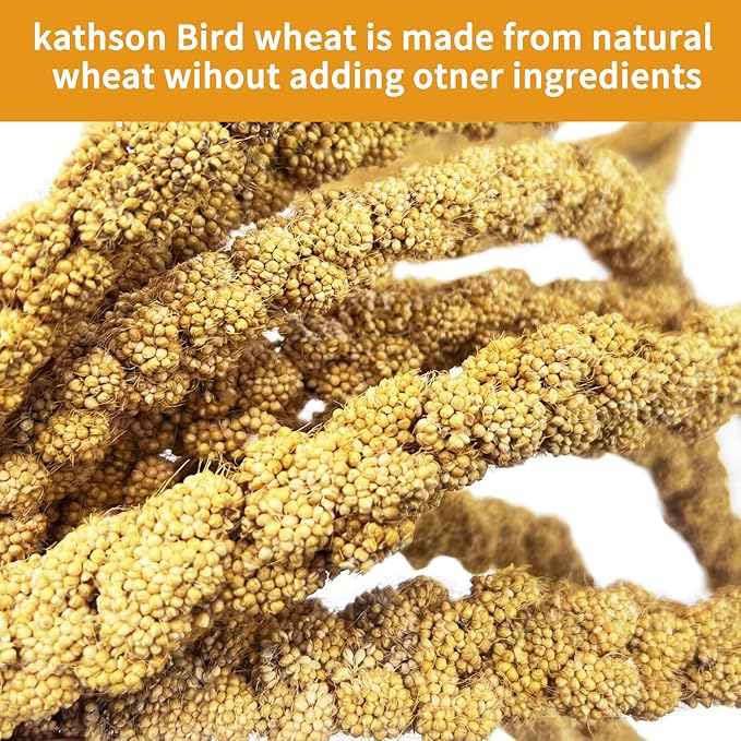 kathson Spray Millet Treat Sun-Dried Bird Millet Parakeet Treats for Budgies Finches Cockatiels Parrots Lovebird Hamster Other Pet Birds 0.44LB