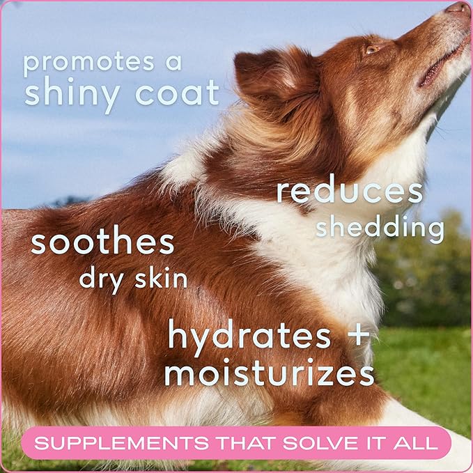 Native Pet Omega Skin and Coat Chews for Dogs - Dog Skin and Coat Supplement for Healthy, Shiny Fur, Reduce Shedding and Dry Spots - Made with Omega 3 Fish Oil and Wild-Caught Salmon Oil - 30 Chews