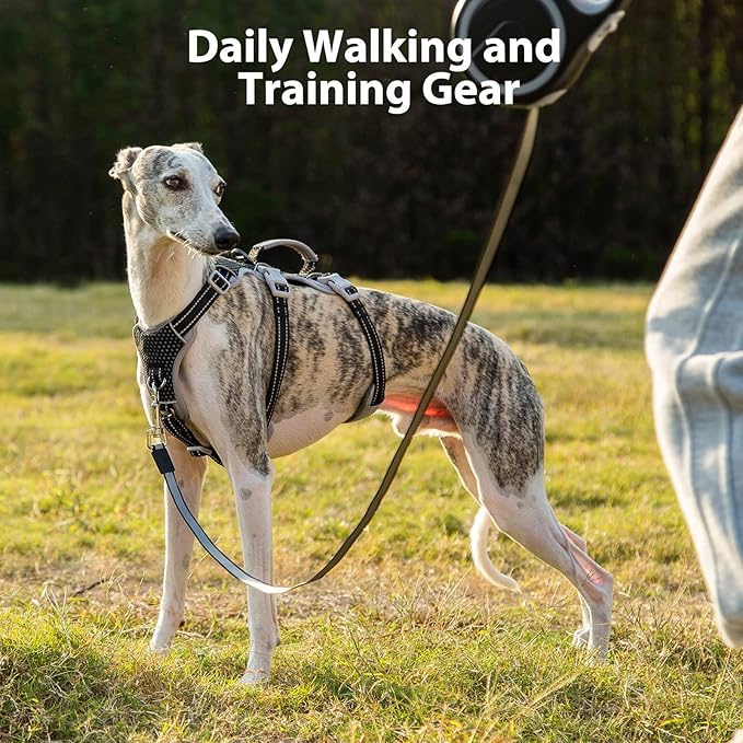 Escape Proof Dog Harness, No Pull Reflective Harness with Lift Handle, Adjustable Pet Vest with Front and Back Leash Clips for Small Medium Large Dogs Walking Hiking Training (Black,L)