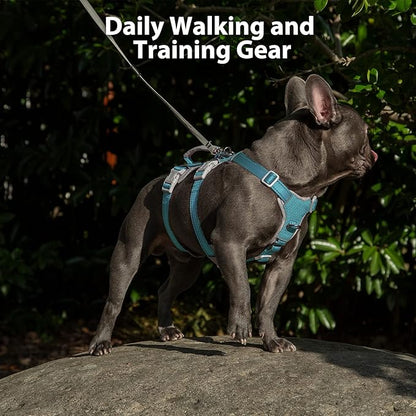 Escape Proof Dog Harness, No Pull Reflective Harness with Lift Handle, Adjustable Pet Vest with Front and Back Leash Clips for Small Medium Large Dogs Walking Hiking Training (Teal,XL)