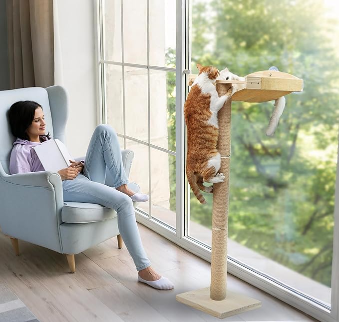 Cat Window Perch with Tall Scratching Posts, Inside 46" Climbing Tree Hammmock Mounted with Suction Cups for Sleeping,Playing and Watching Birds