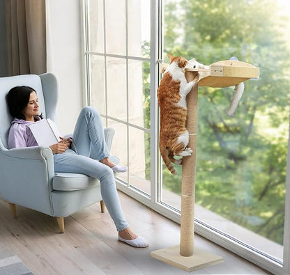 Cat Window Perch with Tall Scratching Posts, Inside 46" Climbing Tree Hammmock Mounted with Suction Cups for Sleeping,Playing and Watching Birds