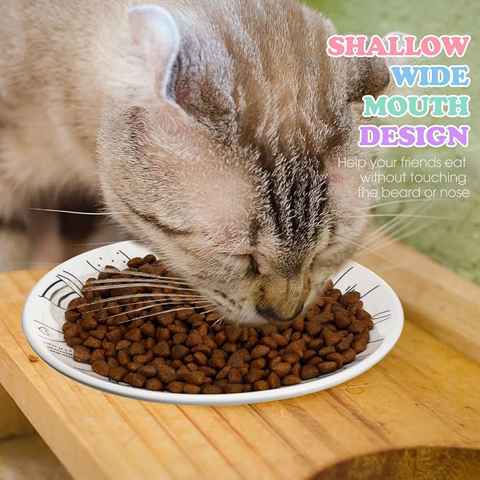 Irenare 10 Pcs Ceramic Cat Bowl 6 Inch Anti Whisker Fatigue Cat Plates Set Cute Shallow Pet Food Bowl Dishes for Food and Water, Kittens Small Animals(Cute Pattern)