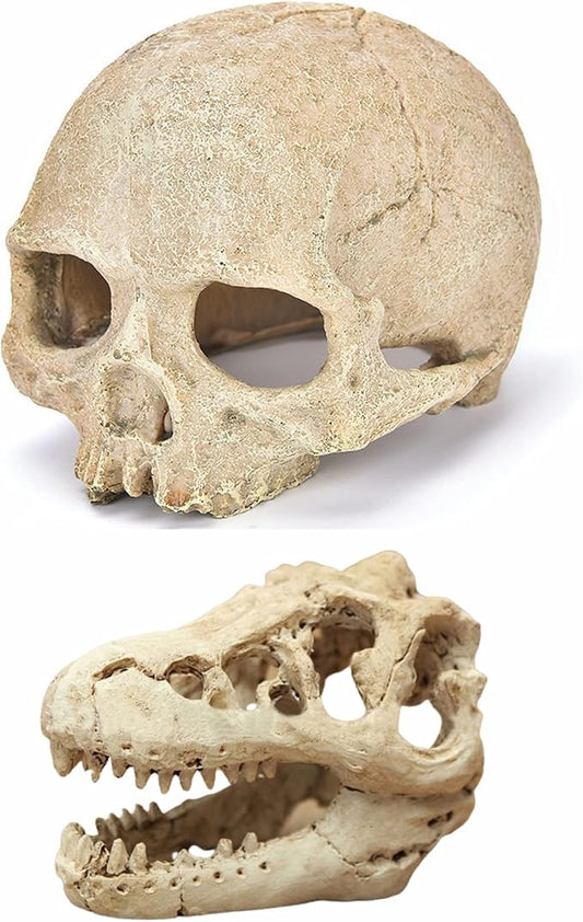 Desert Reptile Skull Fish Tank Decorations - Bearded Dragon Accessories, Snake Tank Decor (Human + Dinosaur)