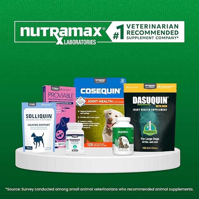 Nutramax Laboratories Nutramax Imuquin Immune Health Supplement Powder for Dogs, with Beta Glucans, Marine Lipids, Vitamins and Minerals, 30 Packets, Updated Version