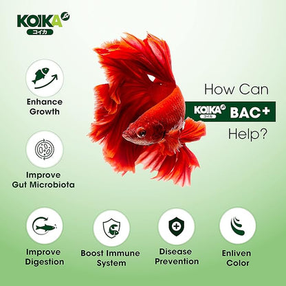 KOIKA BAC+ Aquarium Probiotics, Immunity Boosting, Disease Resistance & Improve The Digestive System (BAC+,105ml)