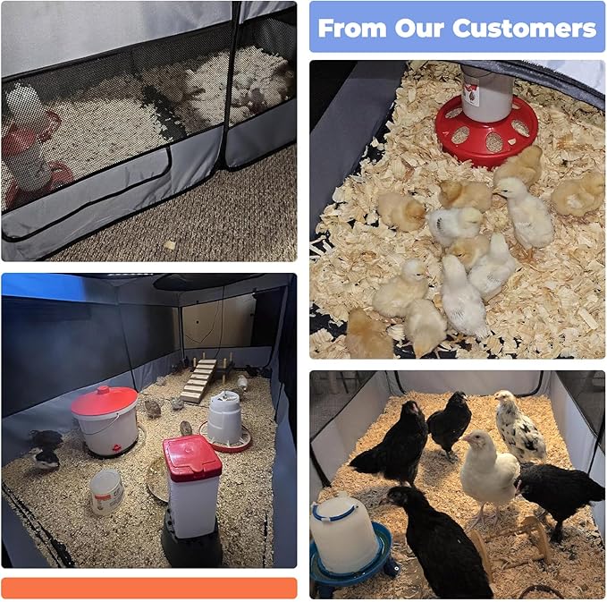 EighteenTek Small Animals Playpen Pop up Small Pet Cage Enclosure Tent Chick Run Brooder Coop Foldable Kennel for Kitten Ferret Puppy Guinea Pig Rabbit Hamster Chinchillas(No Divider, Unified Space)