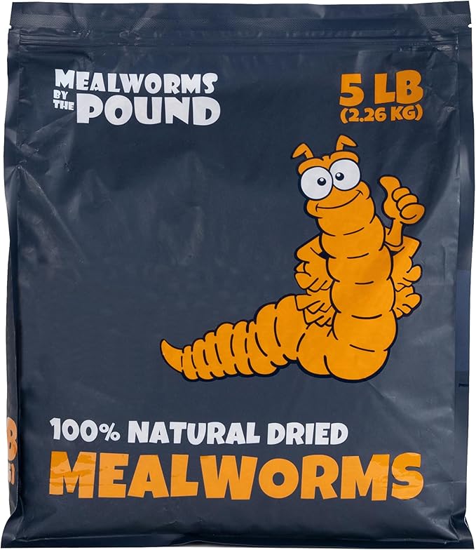 MBTP Bulk Dried Mealworms - Treats for Chickens & Wild Birds (5 Lbs)