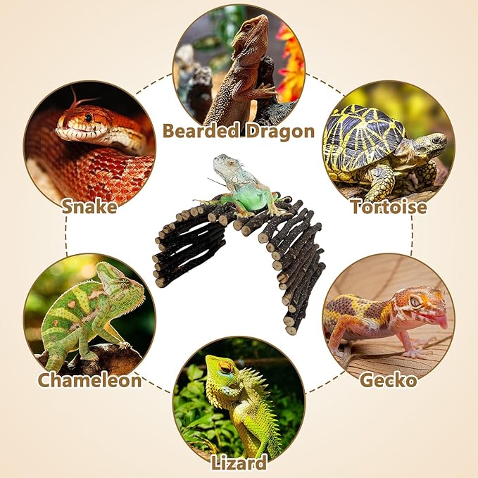 Hamiledyi 3pcs Wooden Reptile Hide Leopard Gecko Wood Hideout Bendable Climbing Tunnel Turtle Hut Snake Hiding Cave for Tortoise Lizard Frog Small Animals (11.8" x 5.9")