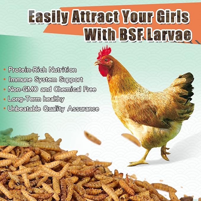 Dried Black Solidier Fly Larvae 11LBS, 85X More Calcium Than Mealworms High-Protein BSF Larvae Chicken Treats Non-GMO BSFL for Chickens, Hens, Ducks, Wild Birds