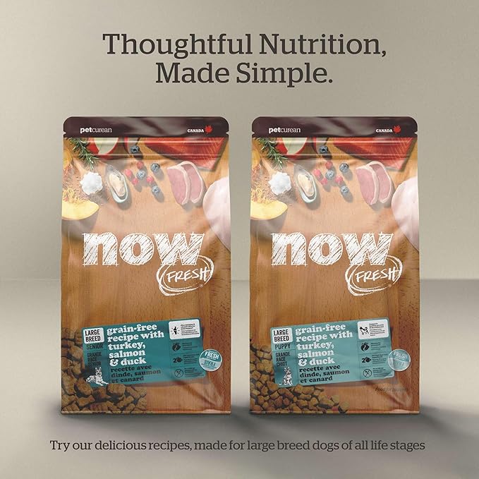 Now Fresh Grain-Free Large Breed Dry Dog Food with Turkey, Salmon & Duck, Premium Kibble for Adults Made with Real Meat & Fish, Chicken-Free, Glucosamine & Chondroitin for Healthy Joints, 12 lb Bag