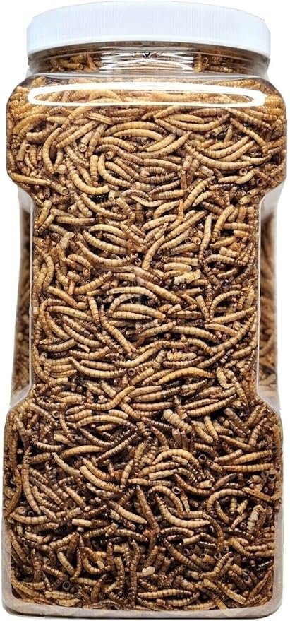 Aquatic Foods Inc. Mealworms- Freeze Dried Mealworms for Tropical Fish, Pond Fish, Reptiles, Turtles, Tortoises, Frogs, Hamsters, Birds, Rodents…3oz Small Jar