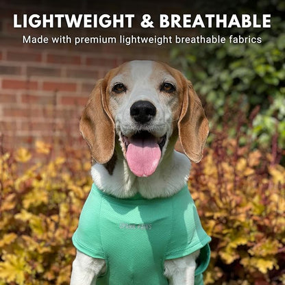 Spark Paws Sunblock Dog T-Shirt, SPF30 Protection, Lightweight Breathable Quick Dry for Dogs with Sensitive Skin - Blue & Mint (Set of 2) - L