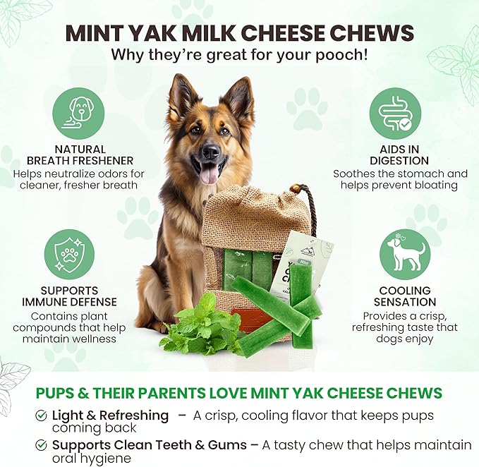 Yak Cheese Himalayan Dog Chews with Mint, High Protein, Natural Dog Treats, Dog Dental Chew Sticks for Aggressive Chewers, Long Lasting Treat for Small, Medium & Large Dogs, 3 Chews