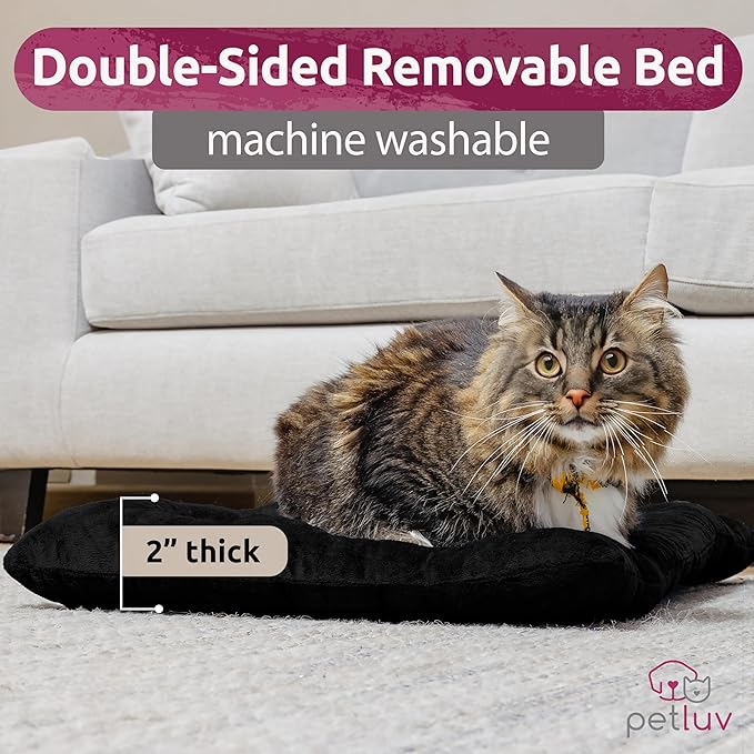 Large Cat Carrier & Dog Carrier for 2 Cats or Medium Dog. Soft Sided Pet Carrier for Travel. Collapsible, Portable with Soft Bed, Top & Side Loading, Locking Zippers, Puppy Crate & Kennel