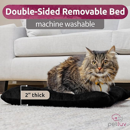 Large Cat Carrier & Dog Carrier for 2 Cats or Medium Dog. Soft Sided Pet Carrier for Travel. Collapsible, Portable with Soft Bed, Top & Side Loading, Locking Zippers, Puppy Crate & Kennel