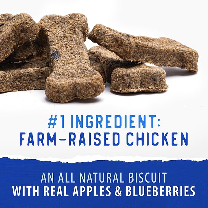Caledon Farms The Dodo Crunchy Biscuits - Chicken with Apple & Blueberry 19.5oz, Dog Treats, Biscuits