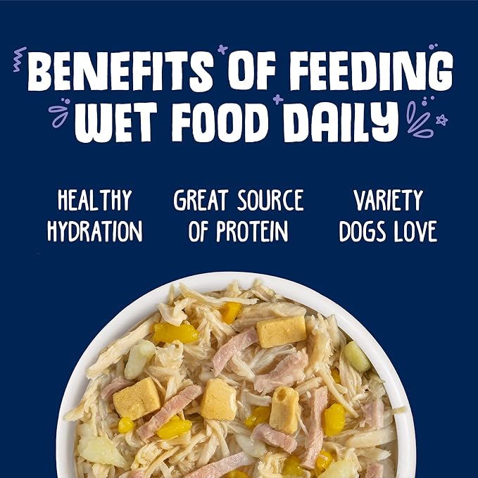 Weruva Classic Dog Food, Bed & Breakfast with Chicken, Egg, Pumpkin & Ham in Gravy, 14oz Can (Pack of 12)