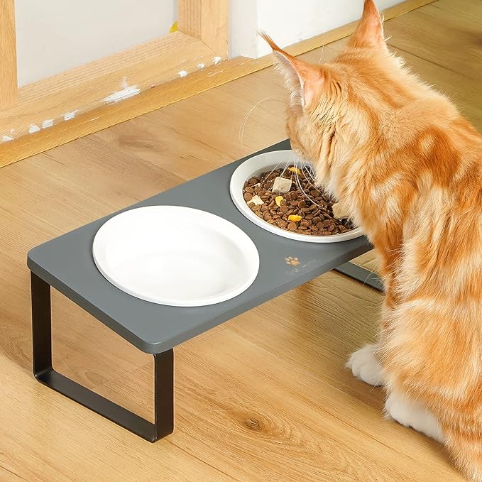 Sunhoo Ceramic Elevated Cat Bowls Raised Puppy Dishes for Food and Water Tilted Wooden Stand for Indoor Cats 5.5 inch Wide Double Dish Orthopedic Reduces Vomiting (Grey)