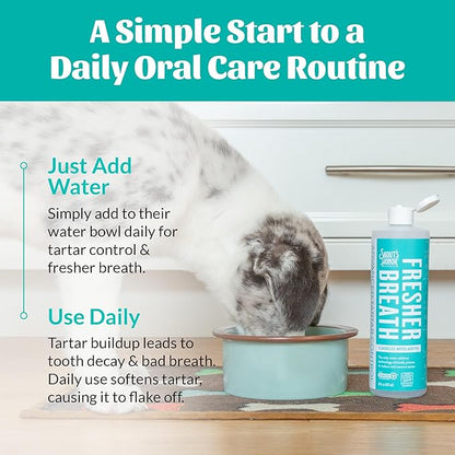 SKOUT'S HONOR Fresher Breath Water Additive for Pets - VOHC Accepted for Tartar Control, Freshens Breath Fast, No Brushing Required: Fresh & Flavorless 16oz - 3 Pack