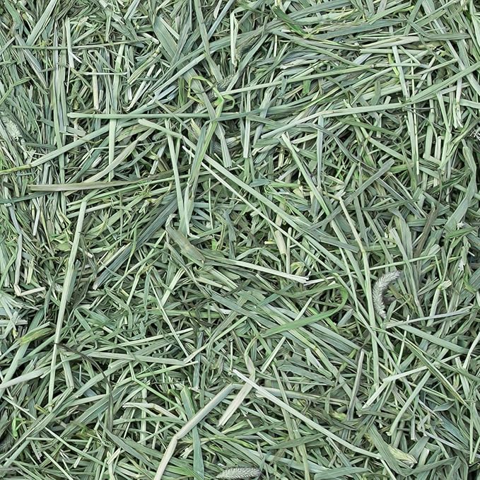 Eaton Pet and Pasture Naturally Grown, Premium, 1st Cut Blend, Western Timothy Hay Orchard Blend, Small Animal Food, Sustainable, Eco-Friendly, Farmer-Owned, 25LB-Box.