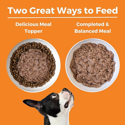 KOHA Limited Ingredient Diet Chicken Entrée for Dogs - Grain Free Wet Dog Food with No Fillers - Sesnsitive Stomach Chicken Dog Food - 13 oz Pack of 12