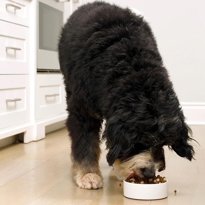 Open Farm, RawMix Grain-Free Dry Dog Food, Protein-Packed Kibble Coated in Bone Broth with Freeze Dried Raw Chunks, Beef Pork & Lamb, Front Range Recipe, 20lb Bag