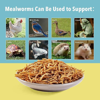 5lb Dried Mealworms for Chickens Treats for Laying hens,Bluebirds,Quail,Chicken Food