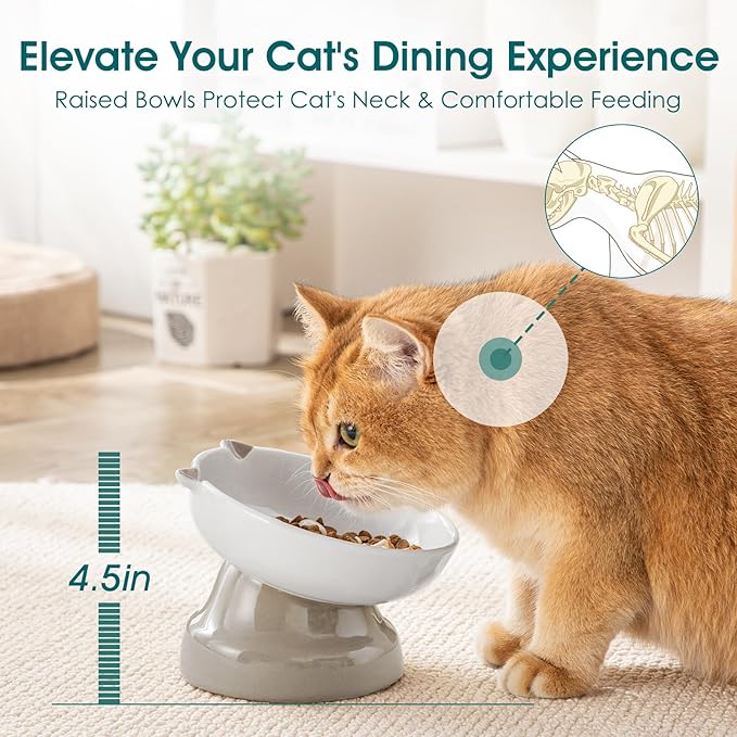 vancasso Ceramic Elevated Slow Feeder Cat Bowls,Slow Feeder Elevated Cat Bowl Wet Food, Raised Cats Bowl for Indoor Cats (Grey)