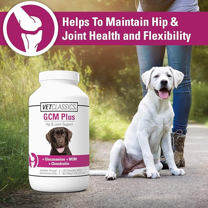 Vet Classics GCM Plus Hip & Joint Support Dog Supplement – Includes MSM, Chondroitin, Glucosamine – Supports Healthy Joints, Flexible Hips in Dogs – Chewable Tablets 120 Ct.