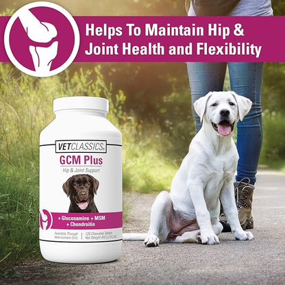 Vet Classics GCM Plus Hip & Joint Support Dog Supplement – Includes MSM, Chondroitin, Glucosamine – Supports Healthy Joints, Flexible Hips in Dogs – Chewable Tablets 120 Ct.