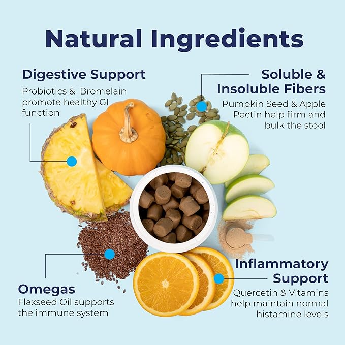 Vetnique Labs Glandex Anal Gland Soft Chew Treats with Pumpkin for Dogs Digestive Enzymes, Probiotics Fiber Supplement for Dogs Boot The Scoot (Bacon/Pork Chews, 30 Count)