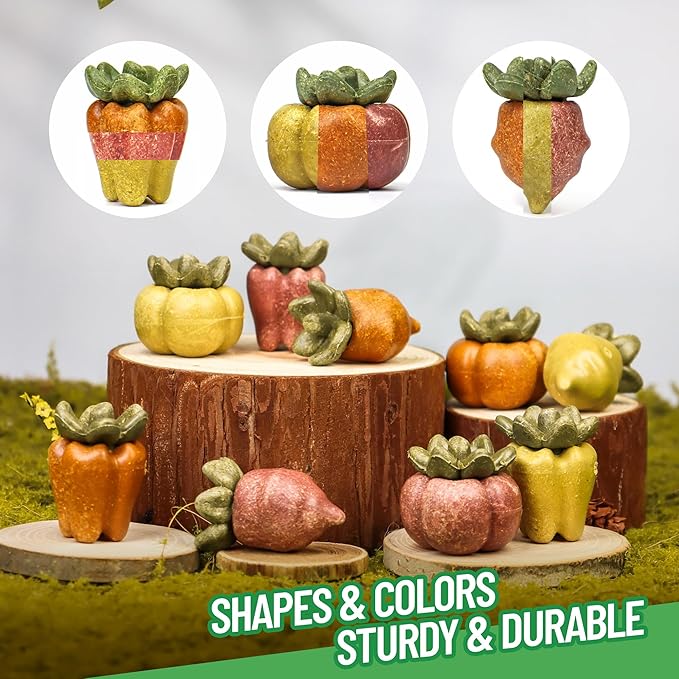 TEEWY Guinea Pig Chew Toys, Natural Vegetables and Timothy Grass, Hamster Chew Toys, Prevents Excessive Tooth Growth in Chinchillas, Gerbils, Hamsters, and Rabbits, Fruits & Vegetables Set