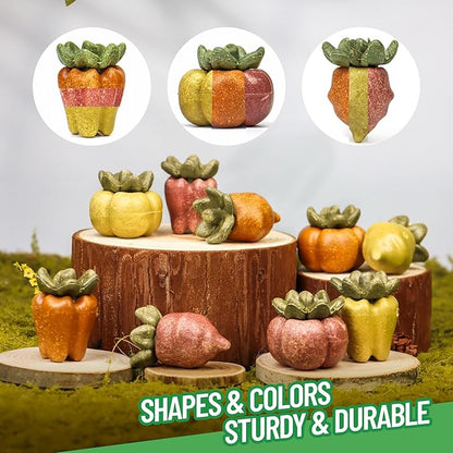 TEEWY Guinea Pig Chew Toys, Natural Vegetables and Timothy Grass, Hamster Chew Toys, Prevents Excessive Tooth Growth in Chinchillas, Gerbils, Hamsters, and Rabbits, Fruits & Vegetables Set