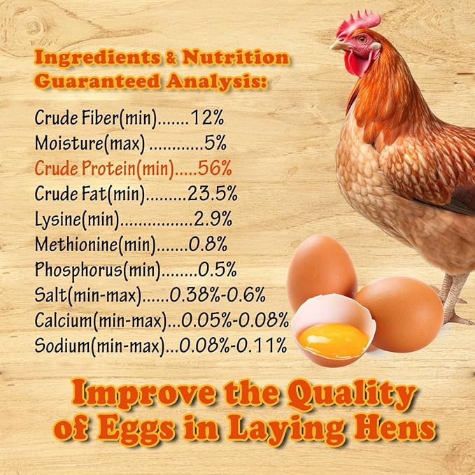 Amzey Dried Mealworms - 2 Pack 3.5OZ (7OZ Total) - High Protein Non GMO Mealworms - Great for Bearded Dragon, Birds, Fish, Lizard, Ducks, Chickens, Hamsters, Hedgehogs,Turtle Food, Reptile Food