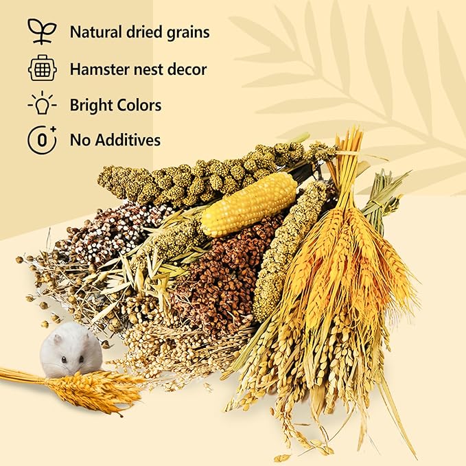 Natural Hamster Flower & Herb Habitat Deocr, Hamster Sprays Herbs Bedding Mate, Hamsters Cage Enrichment Decoration Accessories for Gerbil Dwarf Syrian Hamsters Mouse Guinea Pig Mice or Small Animals