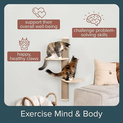 Cat Climbing Wall System – Modern Floating Shelves & Perches for Cats - Sunrise Steps | Ascentials by FurHaven