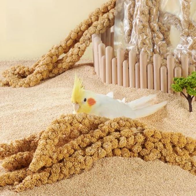 1.1LB Vacuum Sealed Spray Millet Treat for Birds Parakeets, Natural Sun-Dried Birds Millet for Cockatiel, Budgie, Finches, Parrots, Hamster(500 Gram)