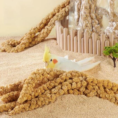 1.1LB Vacuum Sealed Spray Millet Treat for Birds Parakeets, Natural Sun-Dried Birds Millet for Cockatiel, Budgie, Finches, Parrots, Hamster(500 Gram)