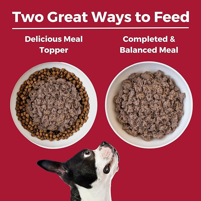 KOHA Limited Ingredient Diet Beef Entrée for Dogs - Grain Free Wet Dog Food with No Fillers - Sensitive Stomach Beef Dog Food 13 oz Pack of 12