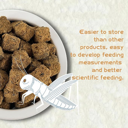 Naturals Freeze-Dried Cricket & Lizards Food Compressed Squares-Bite-Sized for Bearded Dragons, Wild Birds, Chicken, Fish & Reptiles 5.82 OZ